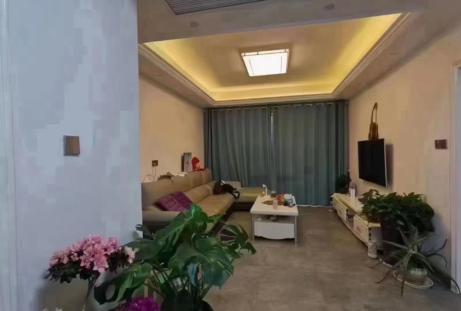 ԴͼƬ